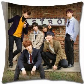 Astro Pillow